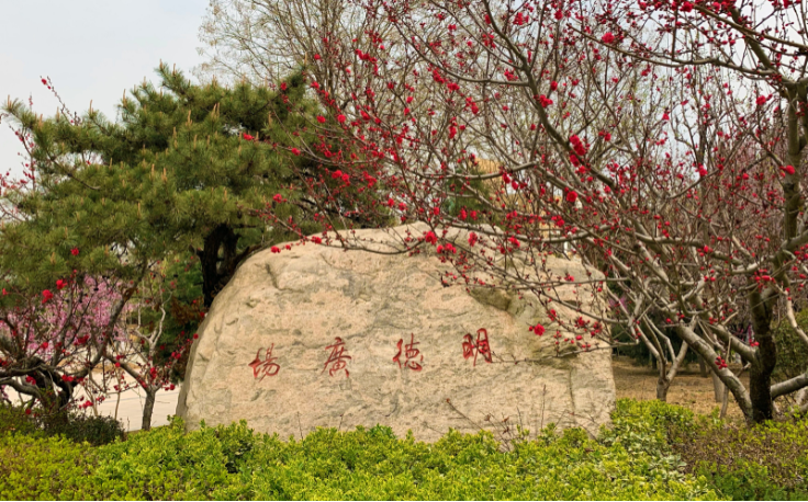 微信截图_20200318111155.png