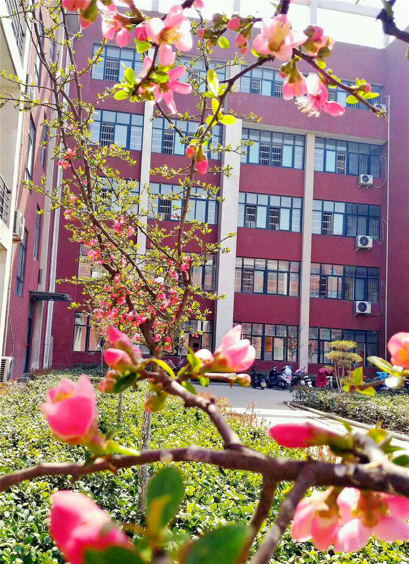图片1_副本.jpg