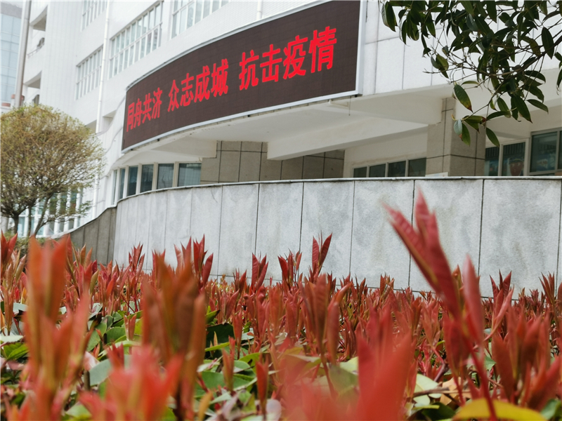 微信图片_20200309182509.jpg
