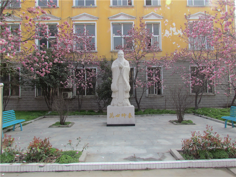 玉兰花开.jpg