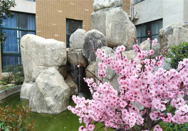 清流花开.jpg