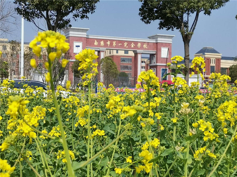 微信图片_20200305152850.jpg