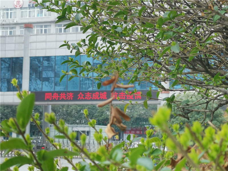 微信图片_20200309182449.jpg