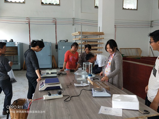 牛素贞指导社员进行茶样理化检测分析.jpg